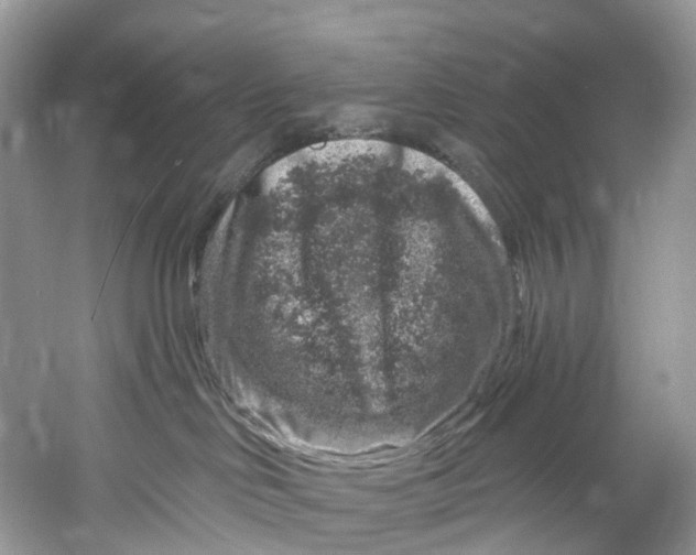 X0000061150046200512022326