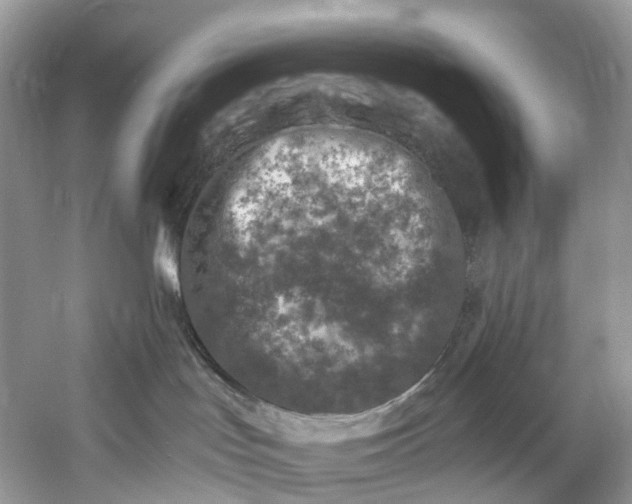 X0000061150047200512022326