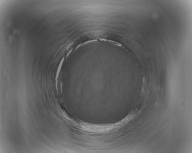 X0000061150048200512022326