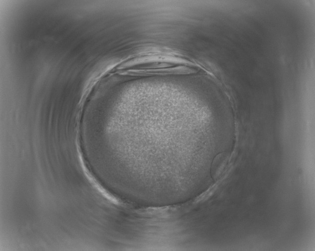 X0000061150049200512022325