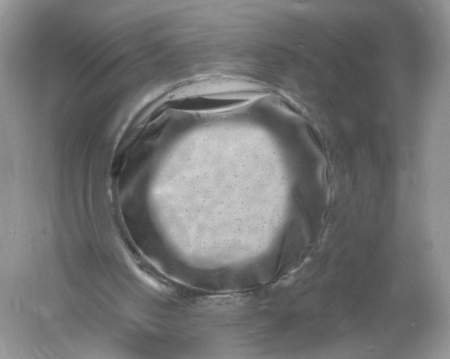 X0000061150050200512022325