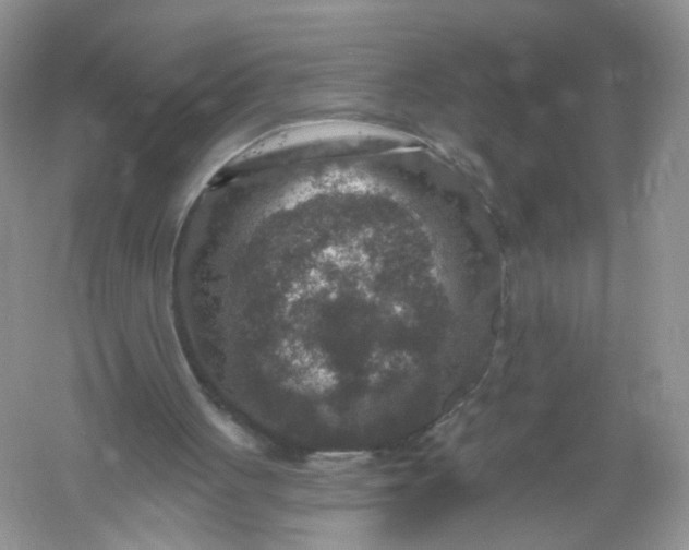 X0000061150051200512022325