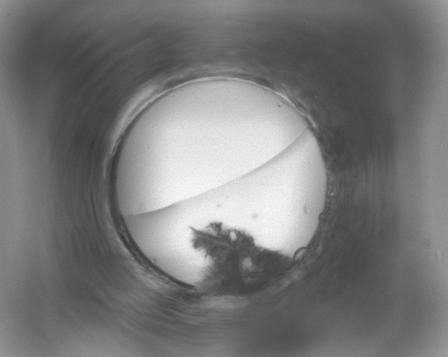 X0000061150053200512022325