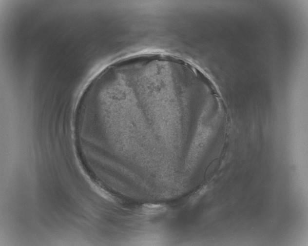 X0000061150055200512022325