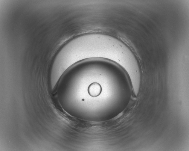 X0000061150058200512022325