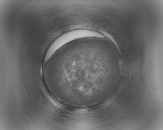 X0000061150061200512022325