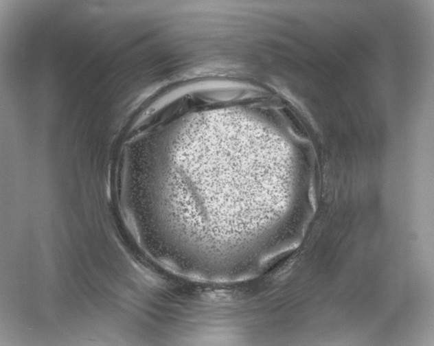 X0000061150062200512022325