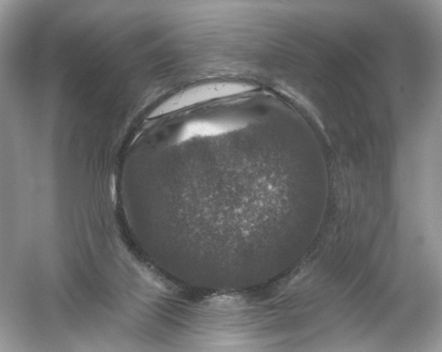 X0000061150067200512022325