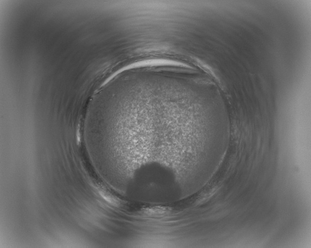 X0000061150069200512022325