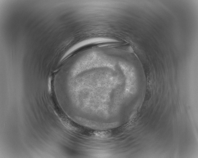 X0000061150070200512022325