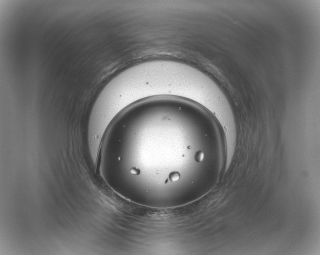 X0000061150071200512022325