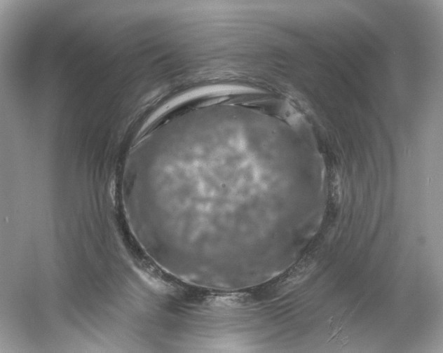 X0000061150072200512022326