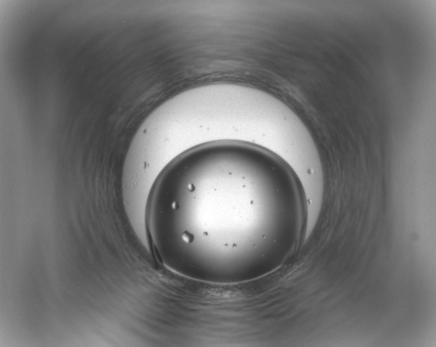 X0000061150073200512022326