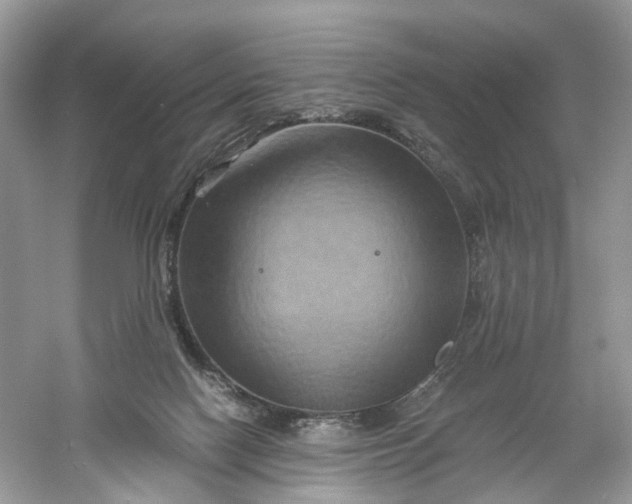 X0000061150074200512022326