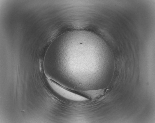 X0000061150075200512022326