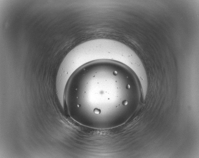 X0000061150077200512022326