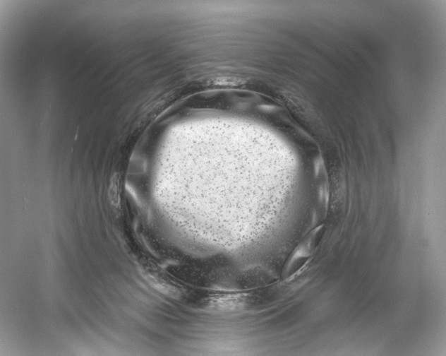 X0000061150078200512022326