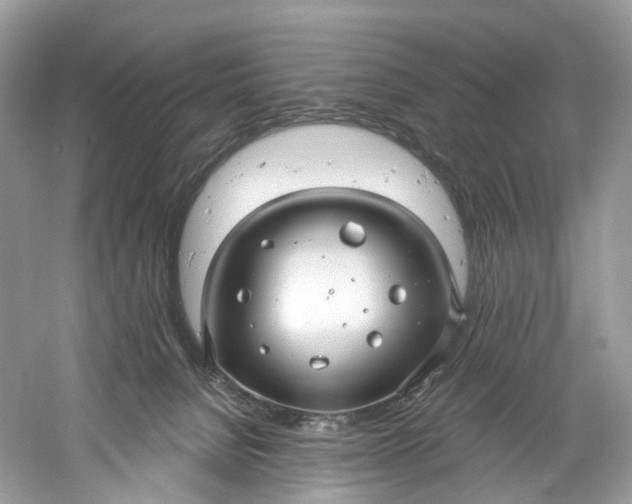 X0000061150080200512022326