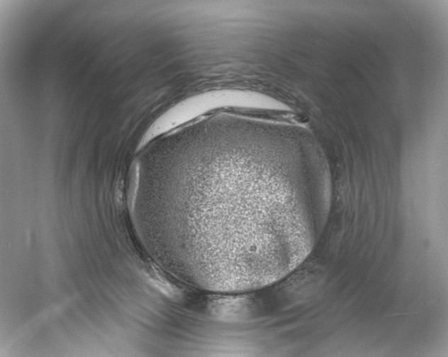 X0000061150081200512022326