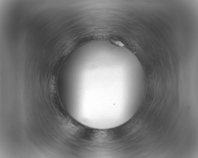 X0000061150083200512022326