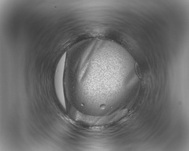 X0000061150084200512022326