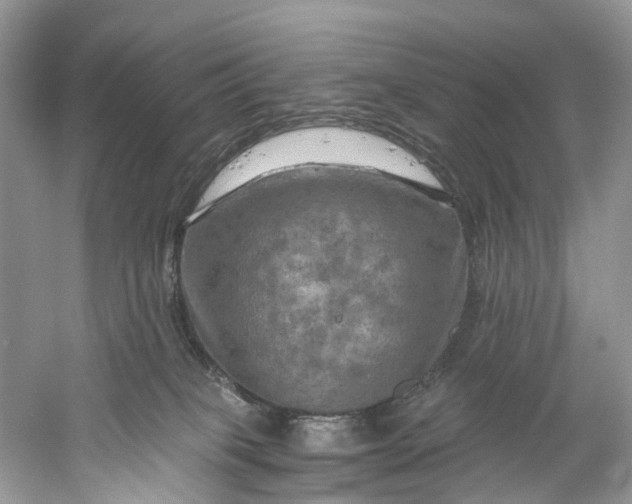 X0000061150085200512022326