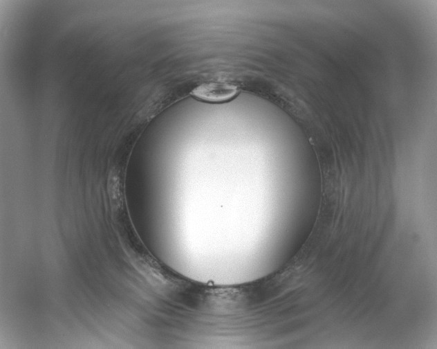 X0000061150087200512022326