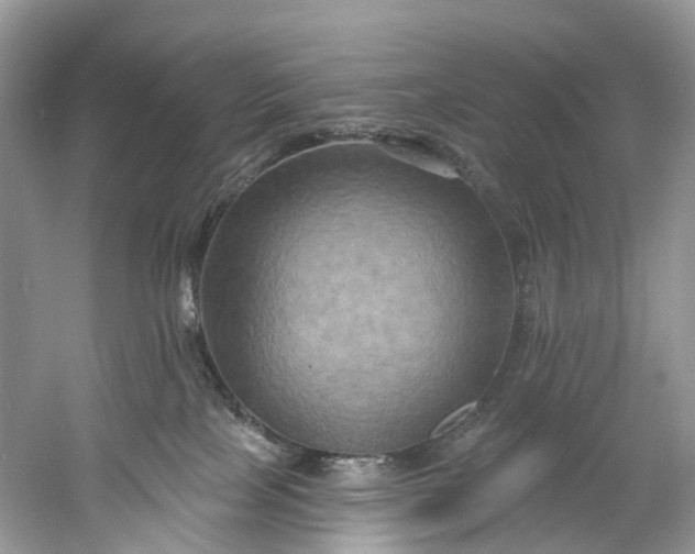 X0000061150089200512022326