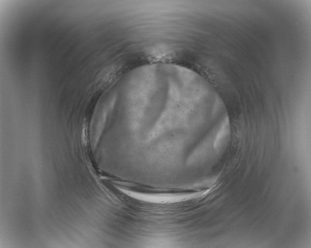 X0000061150090200512022326