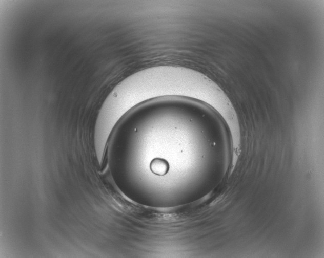 X0000061150091200512022326