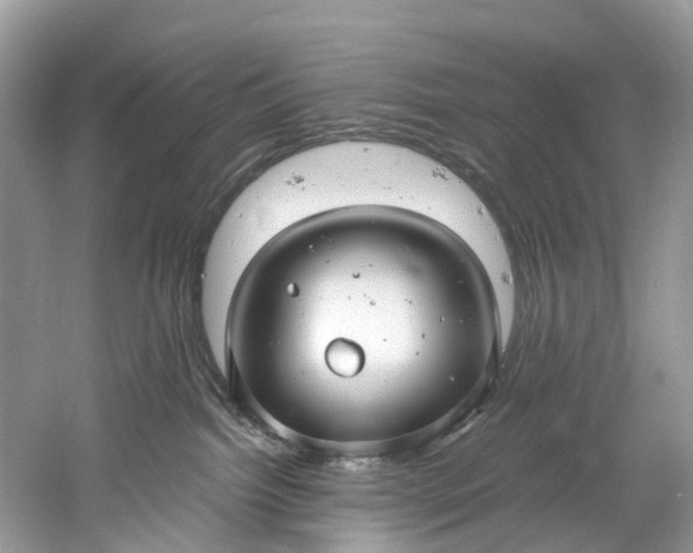 X0000061150092200512022326