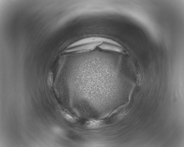 X0000061150093200512022326