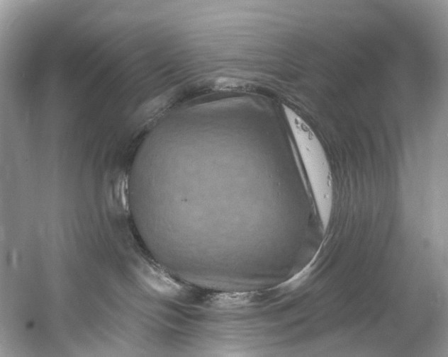 X0000061150094200512022326