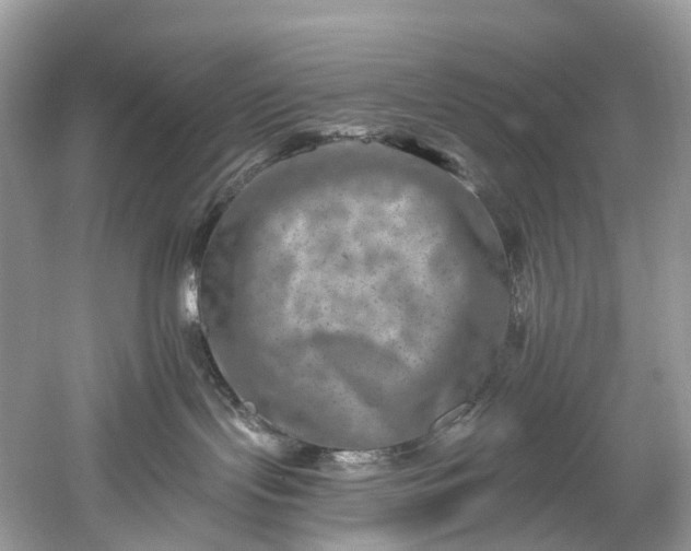 X0000061150095200512022326