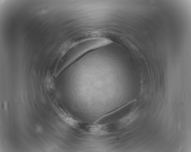 X0000061150096200512022326