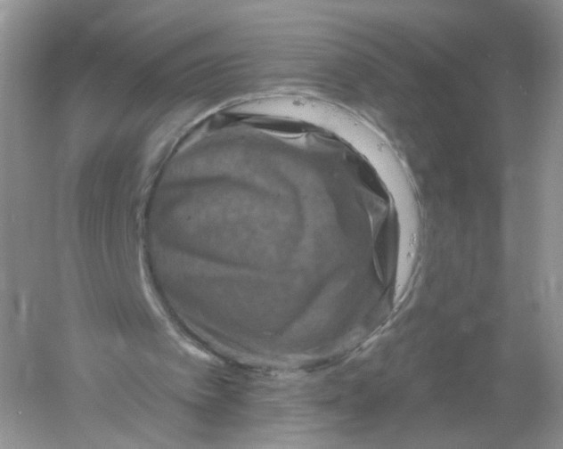 X0000061150097200512022325