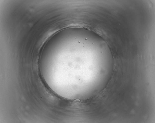 X0000061150098200512022325