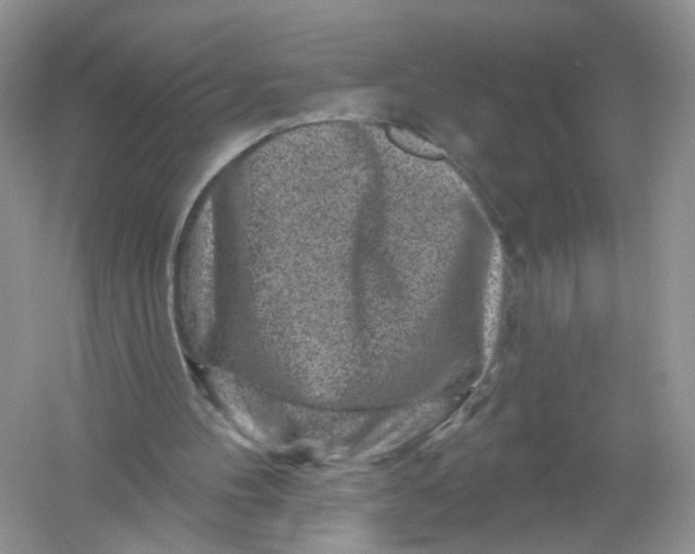 X0000061150100200512022325