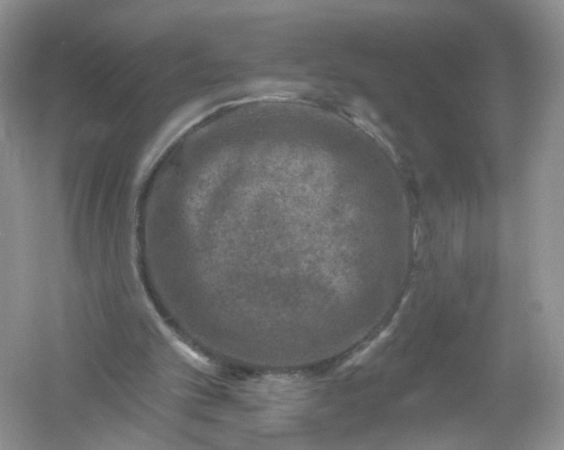 X0000061150101200512022325