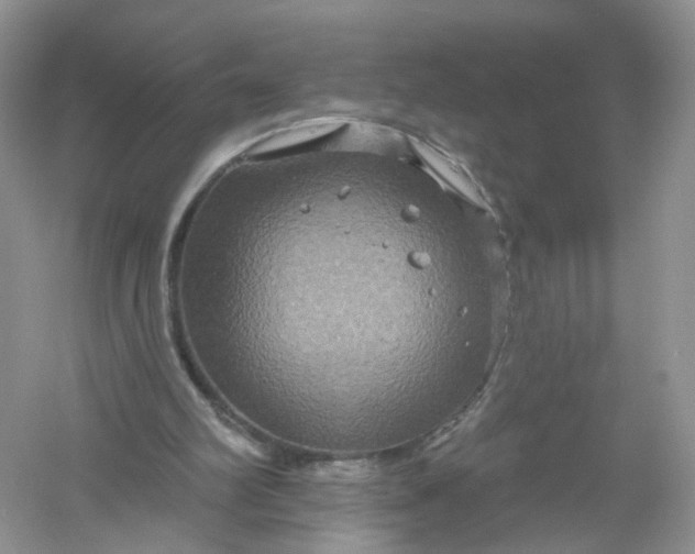 X0000061150102200512022325