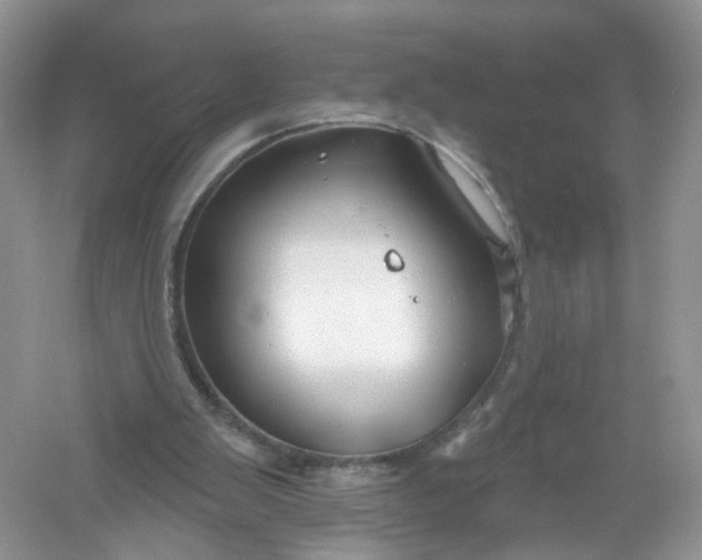 X0000061150103200512022325