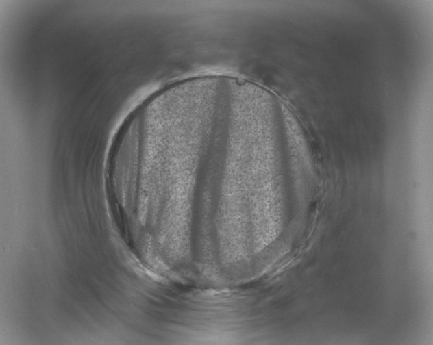 X0000061150104200512022325