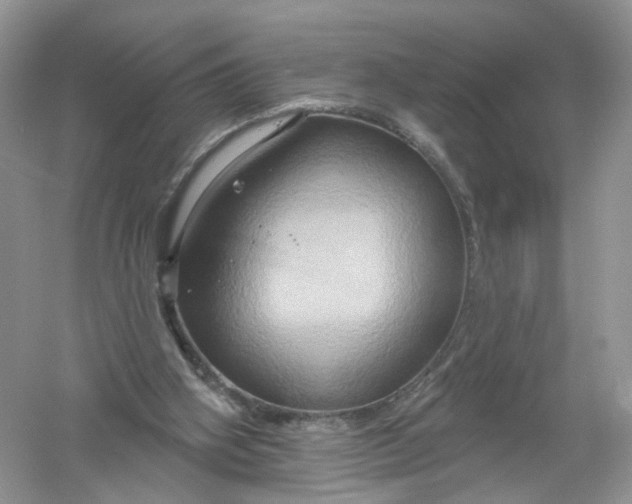 X0000061150106200512022325