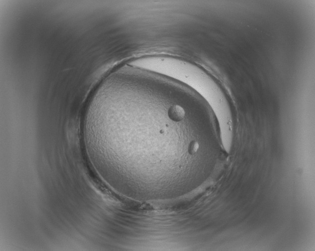 X0000061150107200512022325