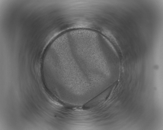 X0000061150108200512022325