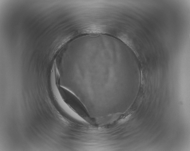 X0000061150109200512022325