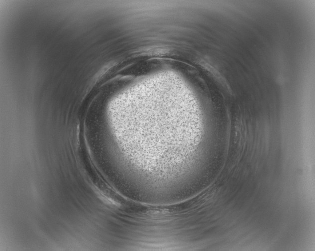 X0000061150110200512022325