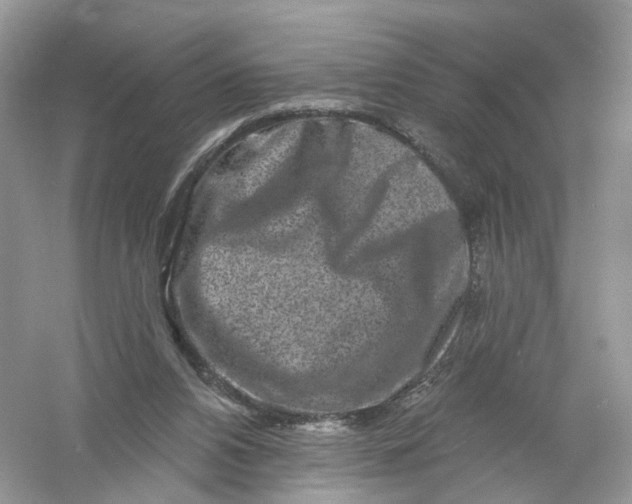 X0000061150112200512022325