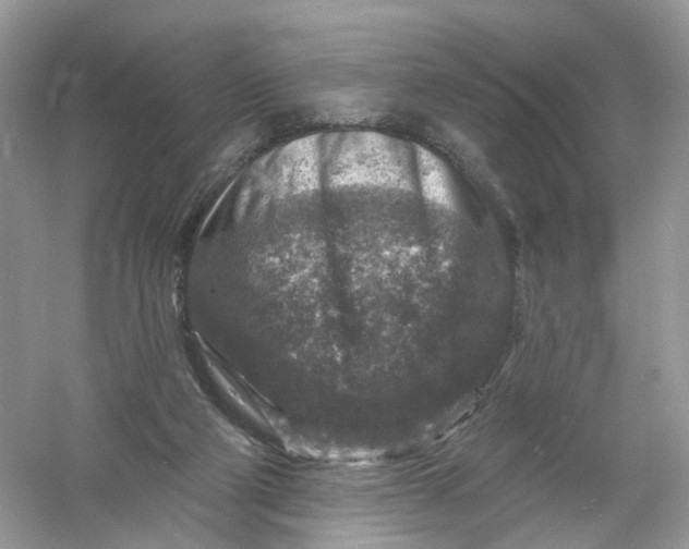 X0000061150114200512022325