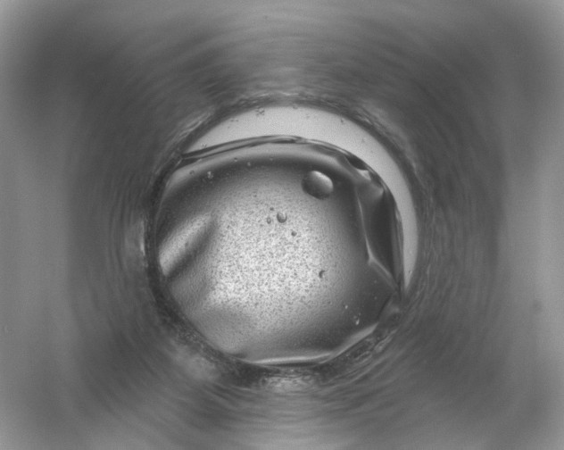 X0000061150115200512022325